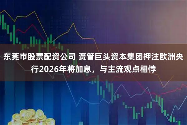 东莞市股票配资公司 资管巨头资本集团押注欧洲央行2026年将加息，与主流观点相悖