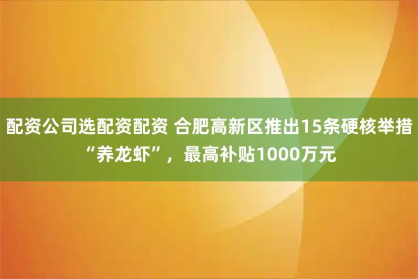 配资公司选配资配资 合肥高新区推出15条硬核举措“养龙虾”，最高补贴1000万元