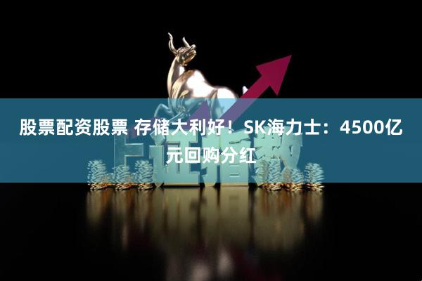 股票配资股票 存储大利好!SK海力士:4500亿元回购分红