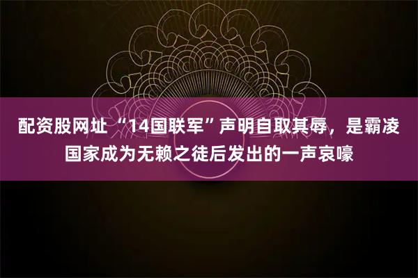 配资股网址 “14国联军”声明自取其辱，是霸凌国家成为无赖之徒后发出的一声哀嚎